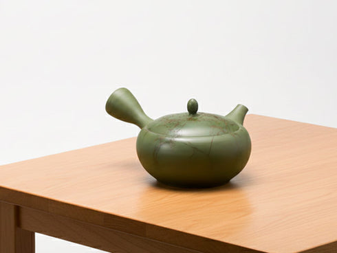 Hakusan kyusu teapot