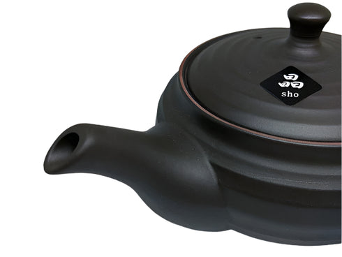 Kushime Tokoname teapot