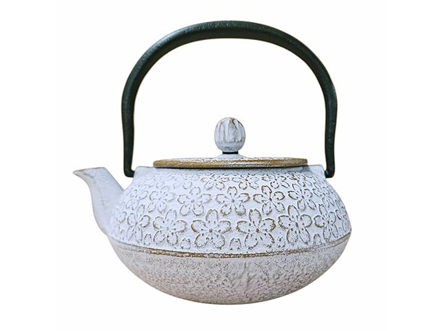 Nanbu Tetsubin Roji Teapot - Enameled Cast Iron