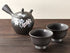 Sakura Tokoname tea set