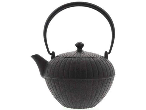 Nanbu Tetsubin teapot Seido