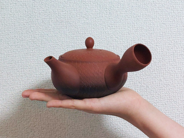 Senkin kyusu teapot Teapot and teaset TEAPOTS TOKONAME CERAMIC