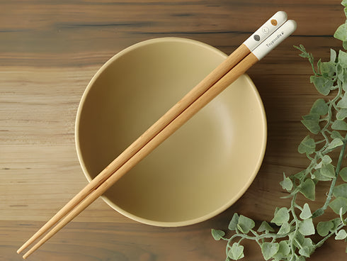 Toy poodle chopsticks