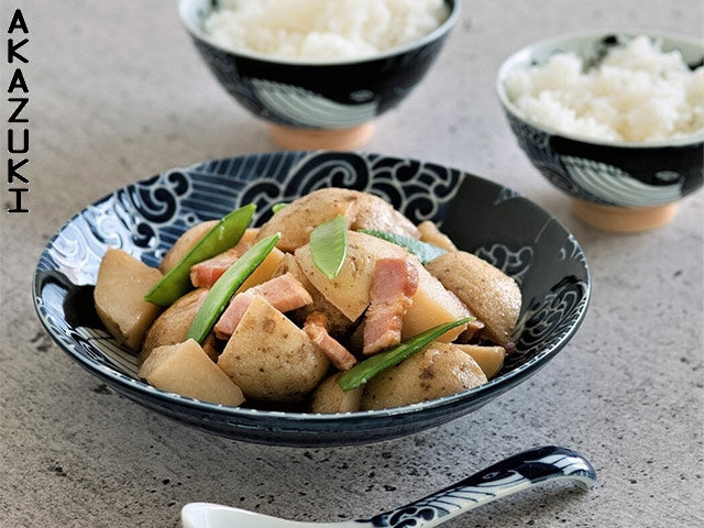 Kujira plates x2 plate CURRY PLATES GIFT SETS MINO CERAMIC PLATES