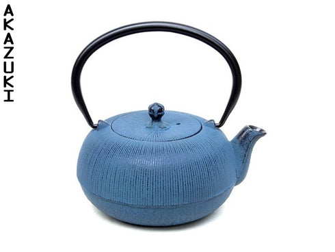 Nanbu teapot Hiramaru