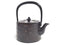 Nanbu Tetsubin kettle Sakura
