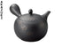 Shunju Tokoname teapot