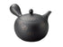 Shunju Tokoname teapot