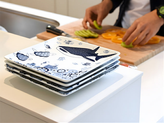 Jinbeizame plates x2 plate COCO MARINE CURRY PLATES FISH PLATES HASAMI PORCELAIN PLATES