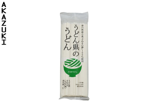 Udon noodles