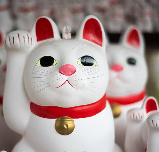 everything you need to know about Maneki neko
