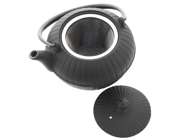 Nanbu Tetsubin teapot Seido Teapot and teaset CAST IRON TEAPOTS OIGEN TEAPOTS