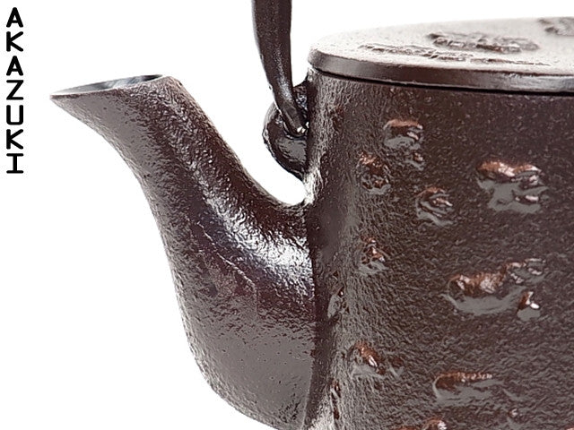Nanbu Tetsubin Teapot - Thumbnail 4
