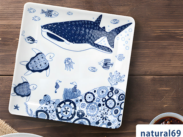 Jinbeizame plates x2 plate COCO MARINE CURRY PLATES FISH PLATES HASAMI PORCELAIN PLATES